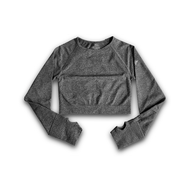 Steel Long Sleeve Crop-Top